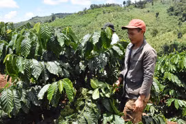 Động lực để người dân thoát nghèo