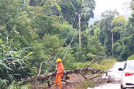 Khoảng 15 giờ ngày 28-9, Gia Lai sẽ khôi phục tất cả các điểm mất điện