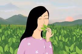 Nhắm mắt giữa đồi chè