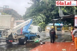 Gia Lai: Nhiều diện tích hoa màu bị ngã đổ, nhà dân bị tốc mái