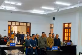 11 đối tượng lãnh án vì khai thác trái phép hơn 77 m3 gỗ