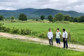 Krông Pa phát huy hiệu quả các mô hình kinh tế tập thể