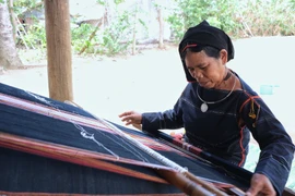 Gia Lai có 9 cá nhân được phong tặng danh hiệu Nghệ nhân ưu tú