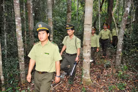 Kon Chư Răng: Bảo vệ đa dạng sinh học để phát triển bền vững
