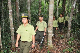 Kon Chư Răng: Bảo vệ đa dạng sinh học để phát triển bền vững