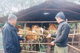 Hướng đến mục tiêu giảm nghèo bền vững