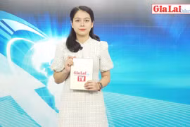 Gia Lai 48h: Quyết liệt xử lý xe quá khổ, quá tải