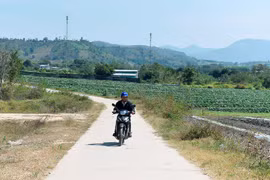 Yang Trung khởi sắc