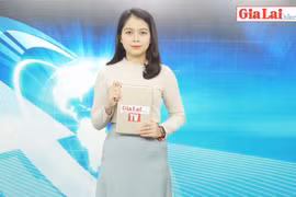 Gia Lai 48h: Đa dạng thị trường đồ trang trí Tết