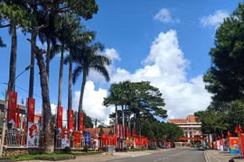 Thông báo treo cờ Tổ quốc chào mừng Đại hội đại biểu toàn quốc lần thứ XIII của Đảng