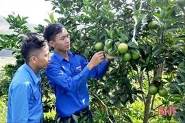 Chàng trai biến sỏi đá thành… cam
