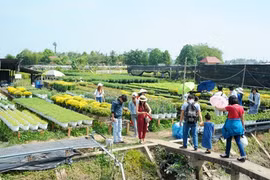 Sức mạnh trong nguy nan