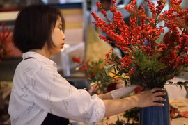 Đào đông đỏ rục rịch khoe sắc, dân sẵn sàng bỏ hàng chục triệu để chơi