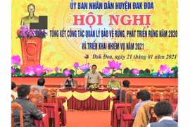 Đak Đoa: Phát hiện, xử lý 25 vụ vi phạm Luật Lâm nghiệp