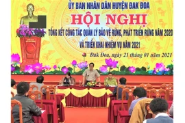 Đak Đoa: Phát hiện, xử lý 25 vụ vi phạm Luật Lâm nghiệp