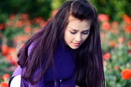 Những mùa hoa Tết