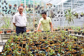 Đam mê lan rừng khi mới 15 tuổi, nay chàng nông dân trẻ này có tiền tỷ trong tay