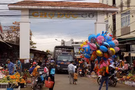 Gia Lai tăng cường kiểm soát vận chuyển heo qua biên giới