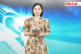 Gia Lai 48h: Quyết liệt triển khai thu ngân sách ngay từ đầu năm