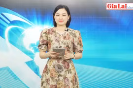 Gia Lai 48h: Quyết liệt triển khai thu ngân sách ngay từ đầu năm