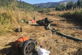 Gia Lai: Phát hiện vụ khai thác vàng trái phép