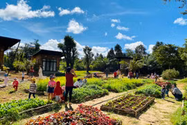 Gia Lai hân hoan đón năm mới 2021