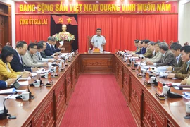 Họp đoàn đại biểu Đảng bộ tỉnh Gia Lai dự Đại hội đại biểu toàn quốc lần thứ XIII của Đảng