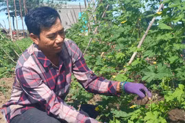 Nay Rcom Then: Bí thư Chi bộ "miệng nói, tay làm"