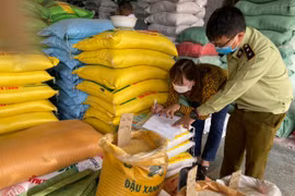 Gia Lai: 119 hộ kinh doanh ký cam kết bán hàng đúng giá niêm yết