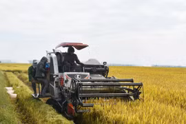 Phú Thiện khai thác tiềm năng, thế mạnh để phát triển bền vững