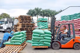 Công nghiệp chế biến nông sản tại Gia Lai: "Chìa khóa" của phát triển