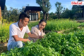 Farmstay-trải nghiệm thú vị cho du khách