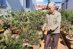 Thời tiết giá lạnh, người trồng cây cảnh ở Đắk Lắk thấp thỏm lo âu