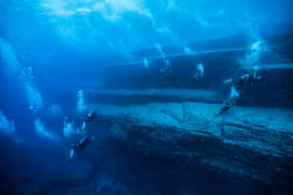 Kim tự tháp khổng lồ dưới đáy biển Bồ Đào Nha: Hải quân xuống điều tra