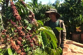 Dân làng Krun sáng tạo trong gây quỹ