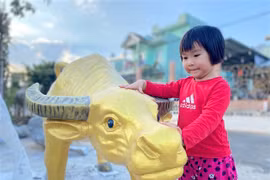 Mục sở thị cơ sở làm trâu linh vật trang trí Tết ở Phố núi Pleiku