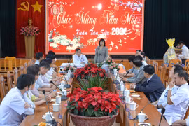 Phó Chủ tịch UBND tỉnh Gia Lai Nguyễn Thị Thanh Lịch thăm, chúc Tết các đơn vị y tế