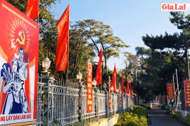 TP. Pleiku rực rỡ cờ hoa chào mừng Đại hội XIII của Đảng