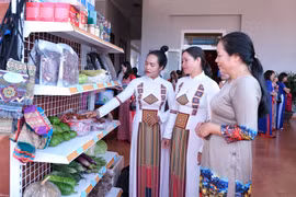 Gia Lai: Luồng sinh khí mới từ Đề án hỗ trợ phụ nữ khởi nghiệp