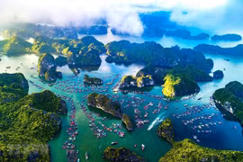 Hoàn thiện hồ sơ đề cử Vịnh Hạ Long-Quần đảo Cát Bà là di sản thế giới