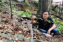 Từ giảng viên, trắng tay sau 3 lần mất tiền tỷ vì trồng sâm đến doanh nhân khởi nghiệp xuất sắc