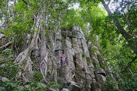 Lên Vĩnh Sơn thăm thành đá, ngắm hoa đào