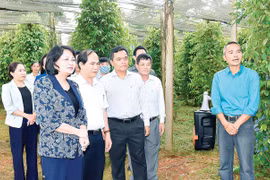 Phó Giáo sư-Tiến sĩ Nguyễn Danh: Công nghệ cao là xu thế tất yếu