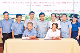 Đòn bẩy để nông nghiệp Gia Lai phát triển