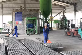 Phát triển doanh nghiệp: "Đòn bẩy" để tăng trưởng kinh tế