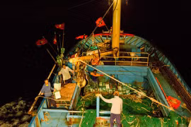 Hoàng Sa xa mà gần: Có chồng đi biển Hoàng Sa