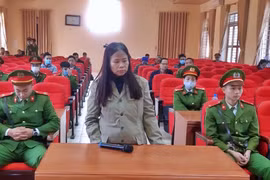 Đưa người Trung Quốc vượt biên trái phép vào Việt Nam, người phụ nữ ở Vĩnh Phúc lĩnh án