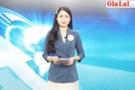 Gia Lai 48h: Tuổi trẻ Gia Lai tự hào tiến bước dưới cờ Đảng