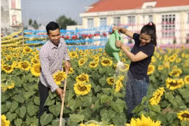 Kỹ sư 9X rời phố thị làm nông trại đẹp như 'thiên đường'