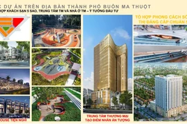 Bầu Hiển đầu tư "phố châu Âu" tại Đắk Lắk